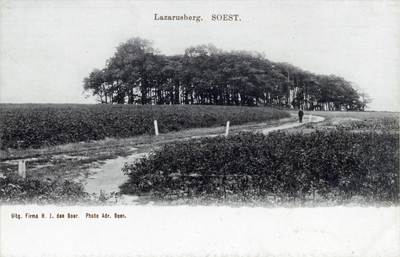 14250 Gezicht op de Lazarusberg met naaldbomen te Soestdijk (gemeente Soest) uit het noordoosten.
